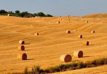 Casa Bandino Campiglia dʼOrcia